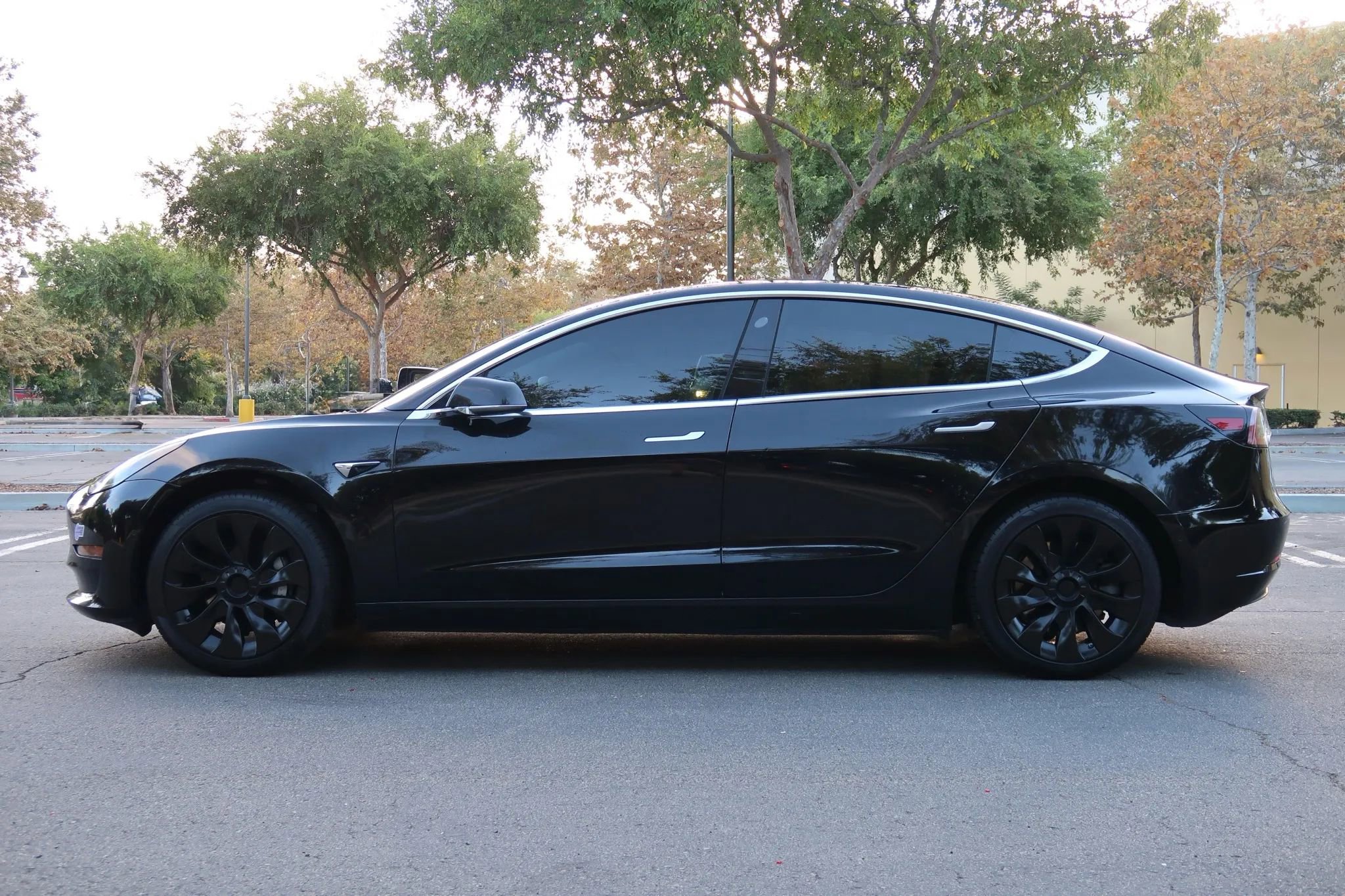Used 2019 Tesla Model 3 Standard Range Plus image 3