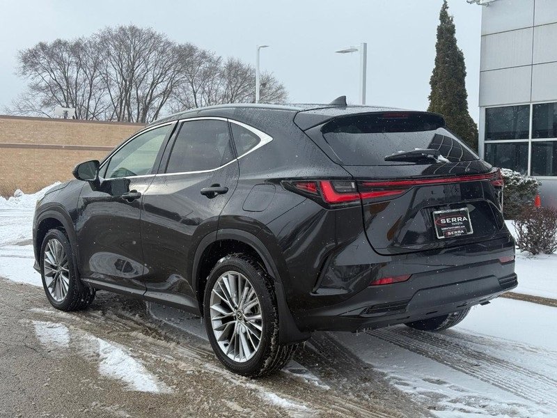 Used 2025 Lexus NX 350h AWD w/ Premium Package image 6