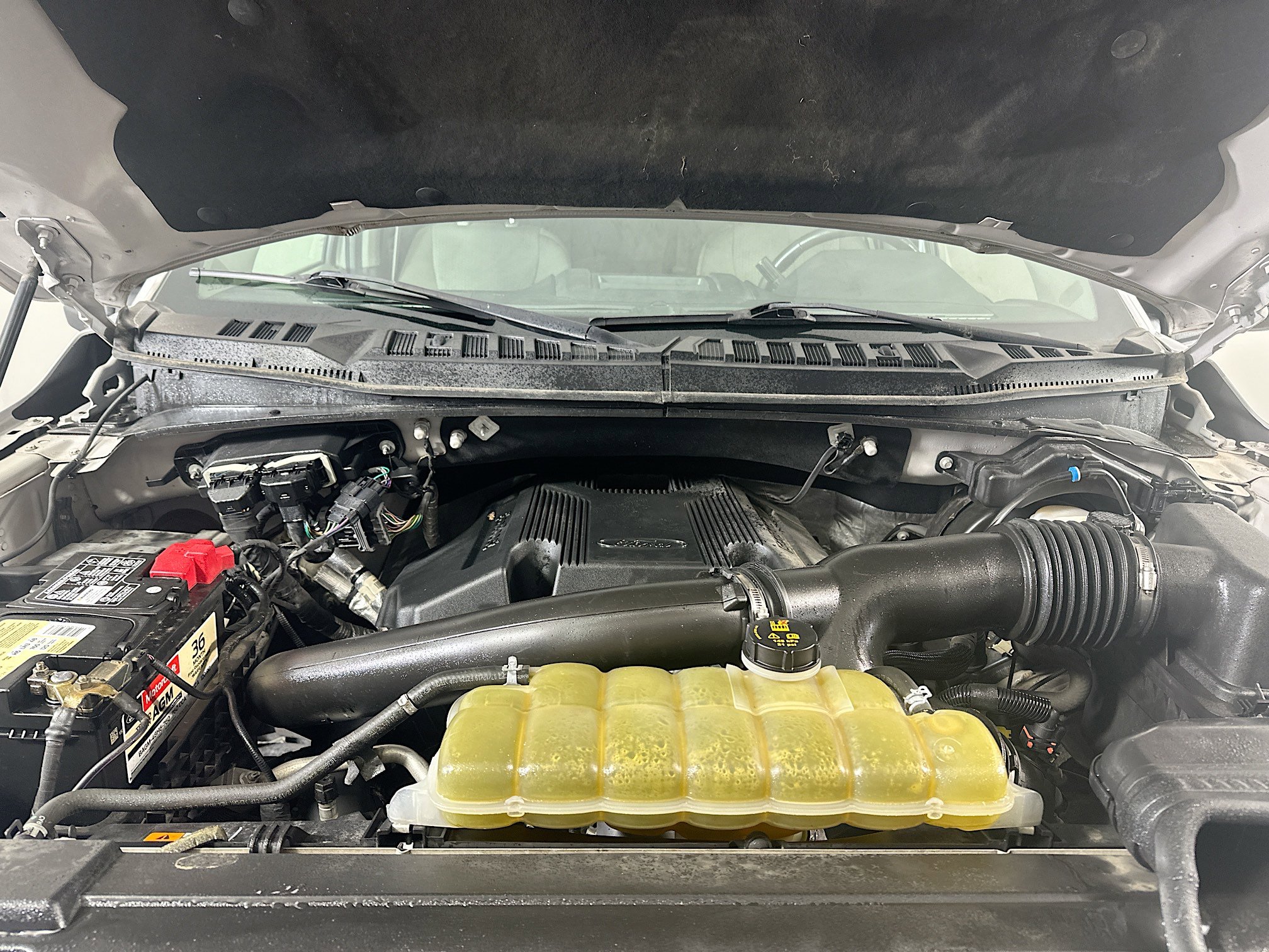 Used 2019 Ford F150 XLT w/ Equipment Group 302A Luxury AWD/4WD image 33