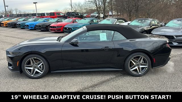 New 2026 Ford Mustang Premium RWD image 4