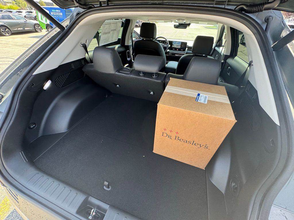New 2025 Hyundai Ioniq 5 SEL AWD/4WD image 33