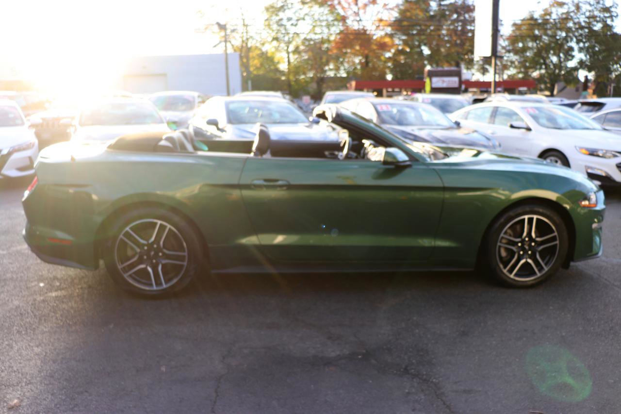 Used 2023 Ford Mustang Premium image 7