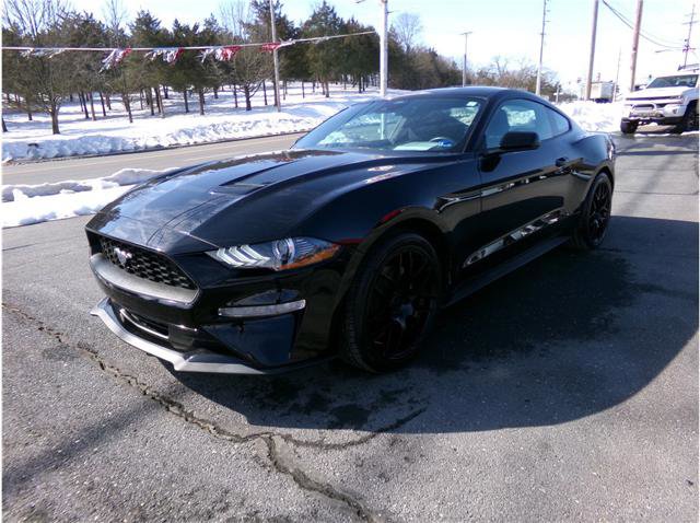 Used 2021 Ford Mustang Coupe RWD image 3