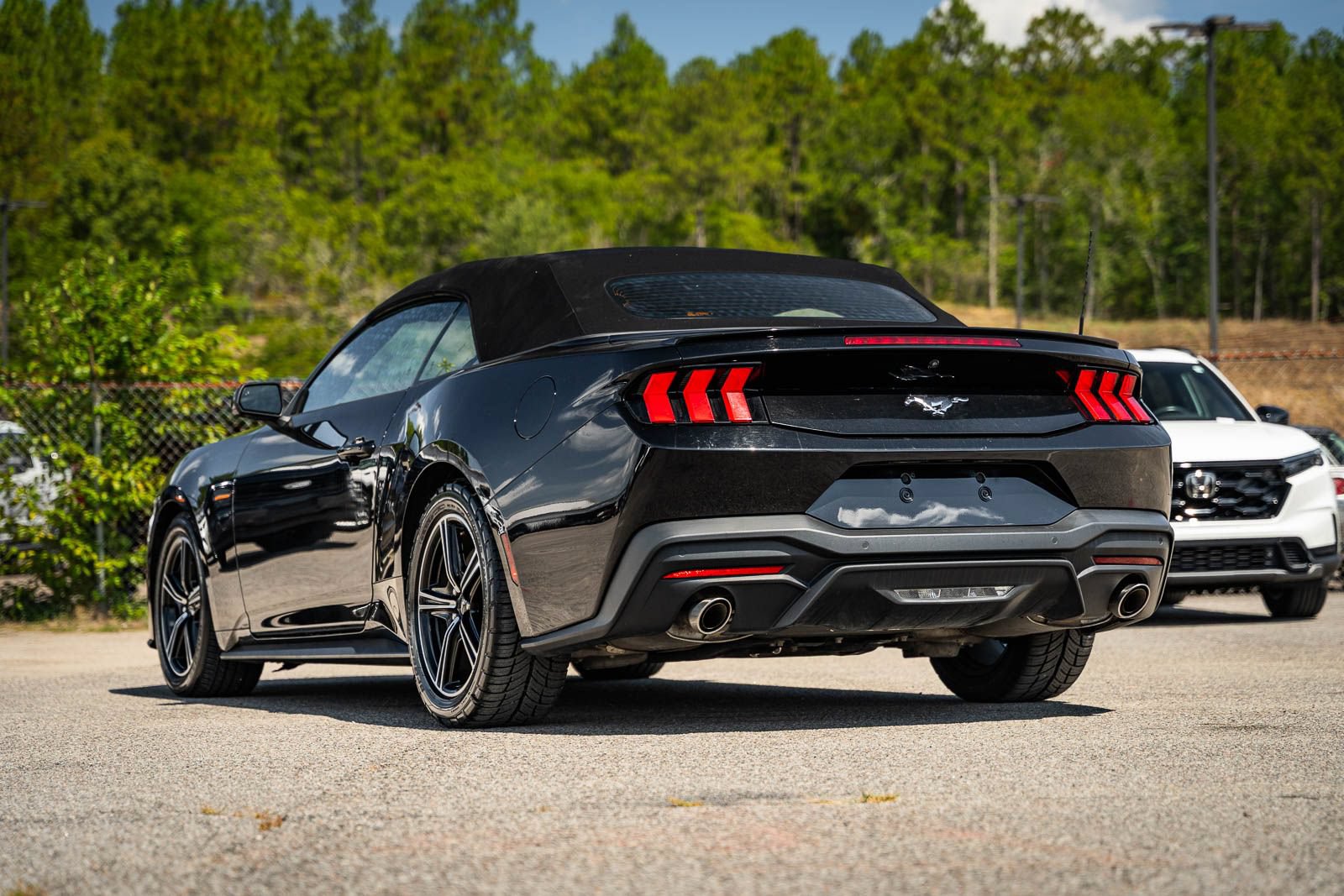 Certified 2024 Ford Mustang Premium RWD image 5