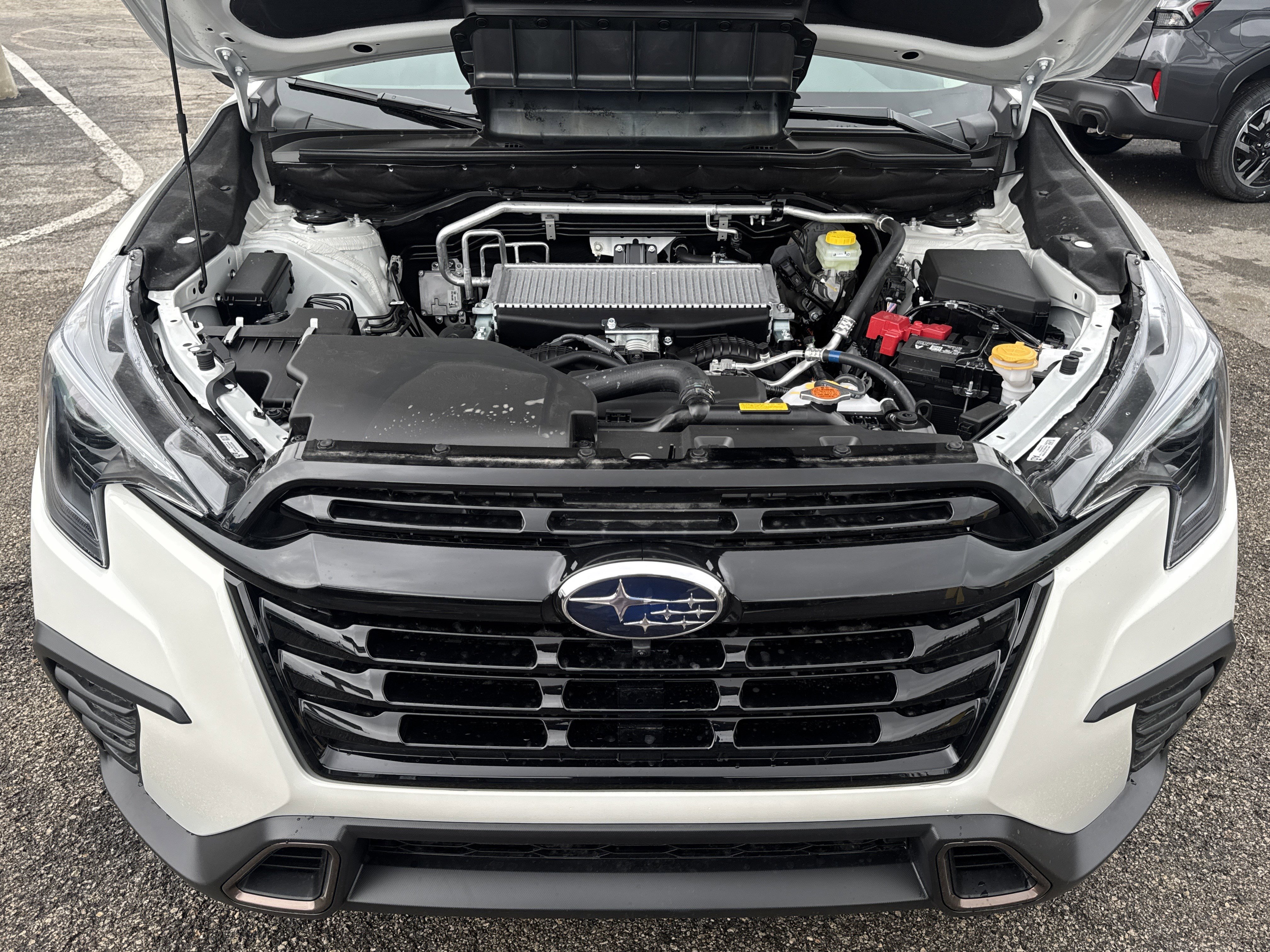 New 2026 Subaru Ascent Limited Bronze image 9