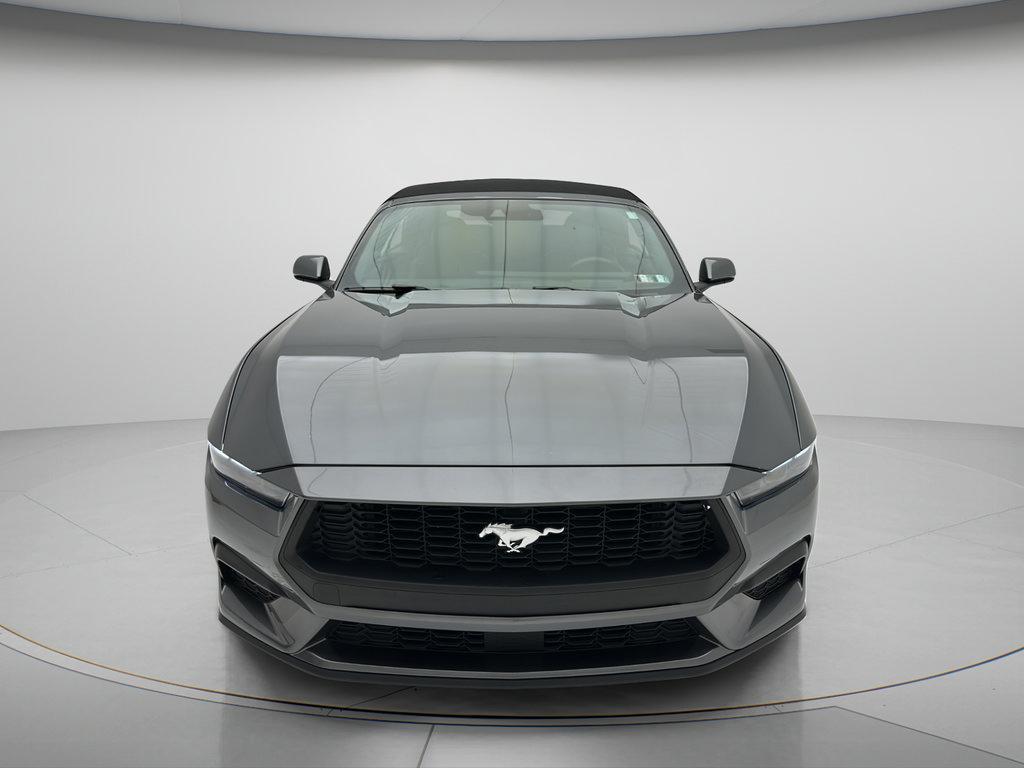 Used 2025 Ford Mustang Premium RWD image 2