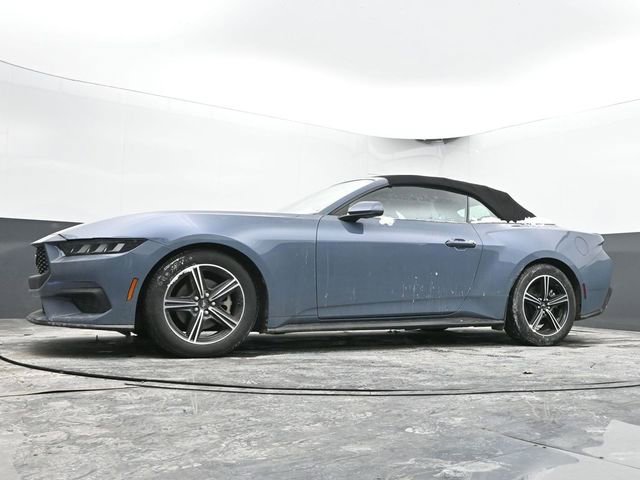 Used 2024 Ford Mustang Premium image 44