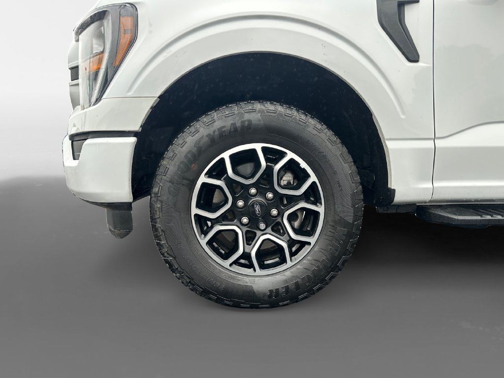Used 2023 Ford F150 XL w/ STX Appearance Package AWD/4WD image 16