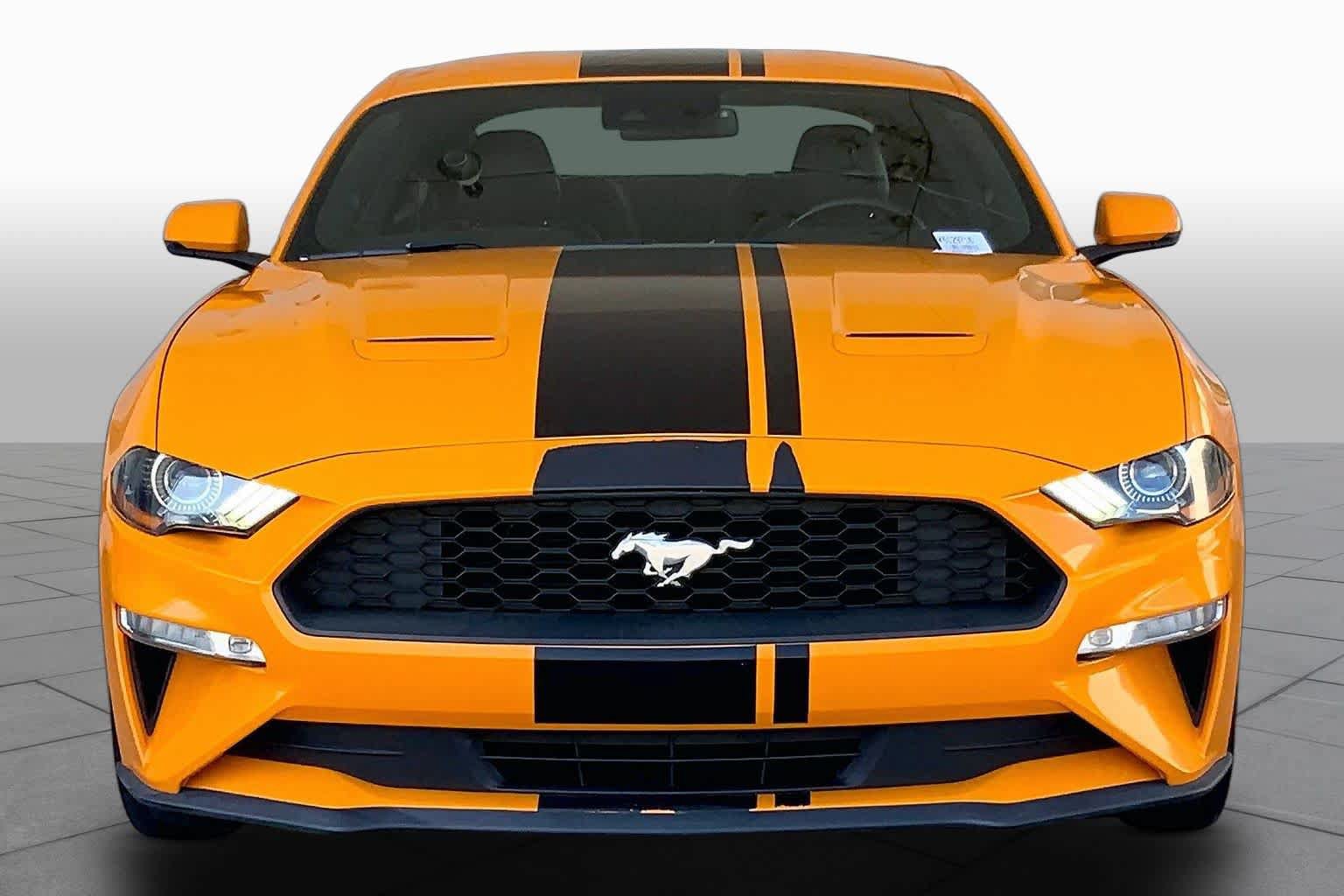 Used 2019 Ford Mustang Premium w/ Equipment Group 201A RWD image 4