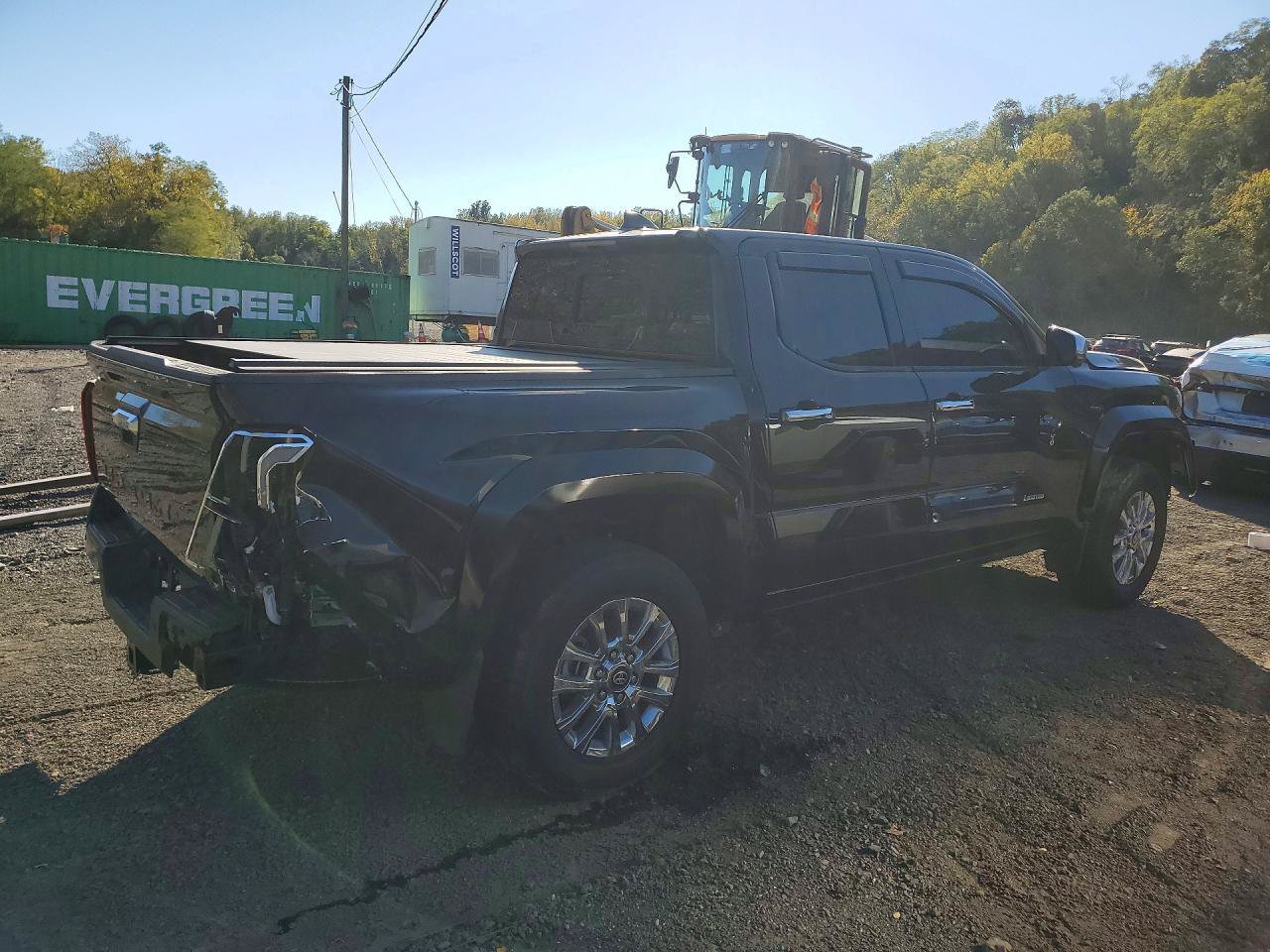 Used 2025 Toyota Tacoma Limited AWD/4WD image 5