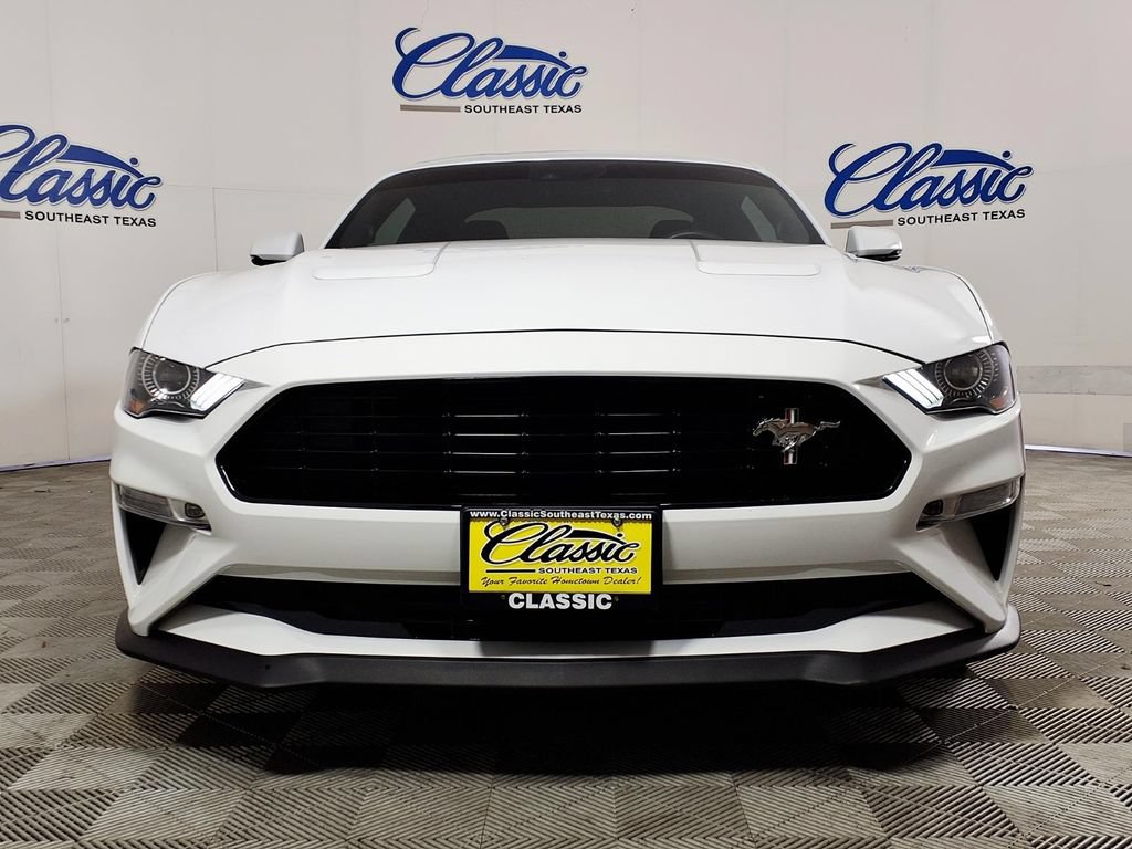 Used 2019 Ford Mustang GT Premium w/ Equipment Group 401A RWD image 3