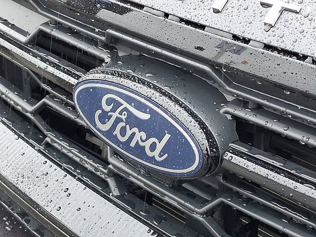 Used 2025 Ford Expedition Active image 29