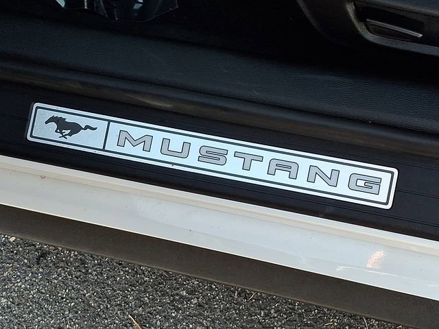 Used 2021 Ford Mustang GT Premium w/ Equipment Group 401A image 38
