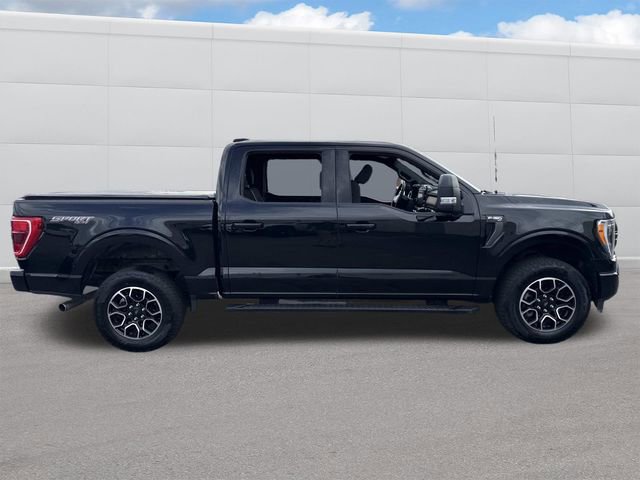 Used 2023 Ford F150 XLT w/ Equipment Group 302A High image 8