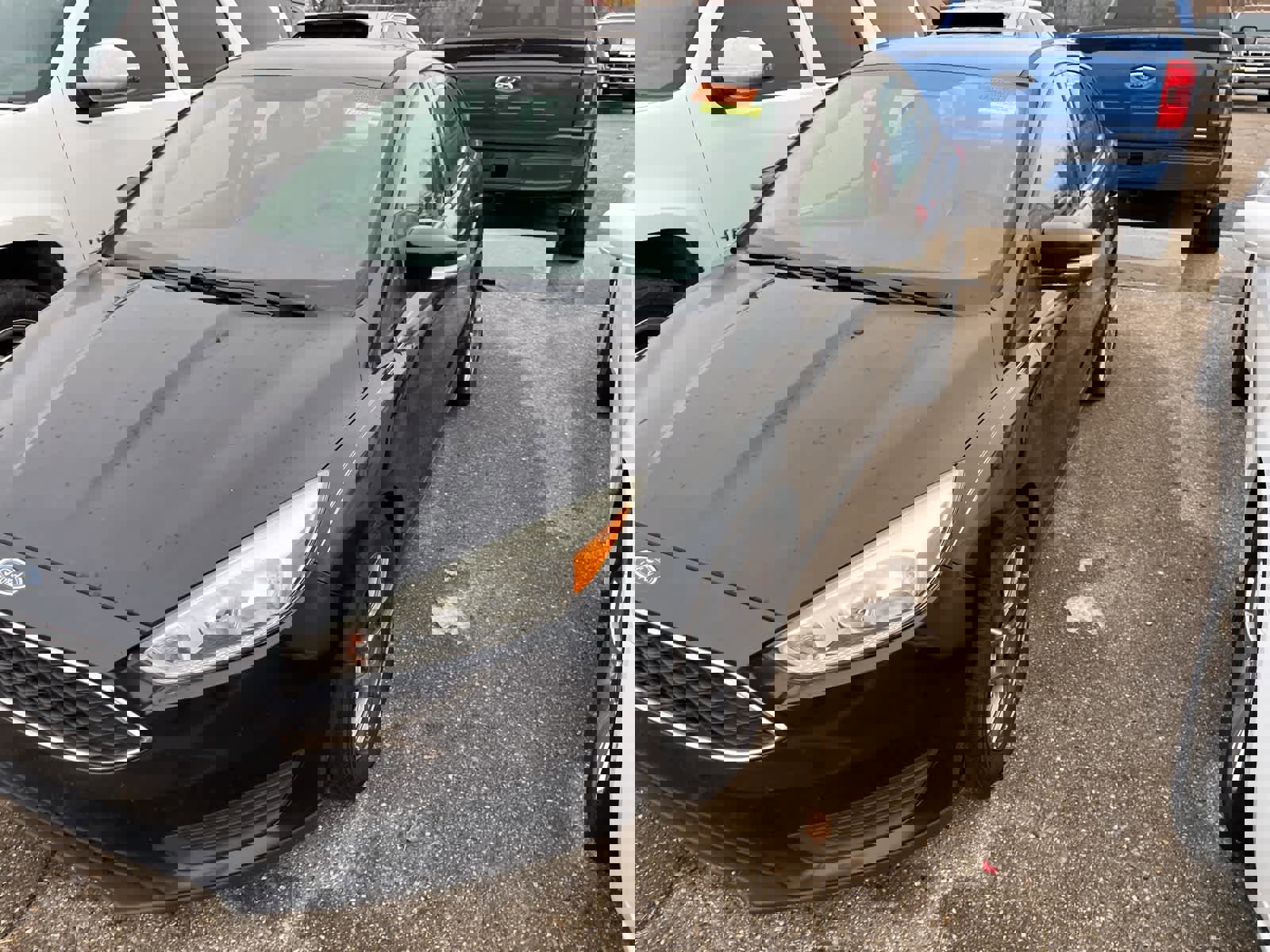 Used 2015 Ford Focus SE image 5