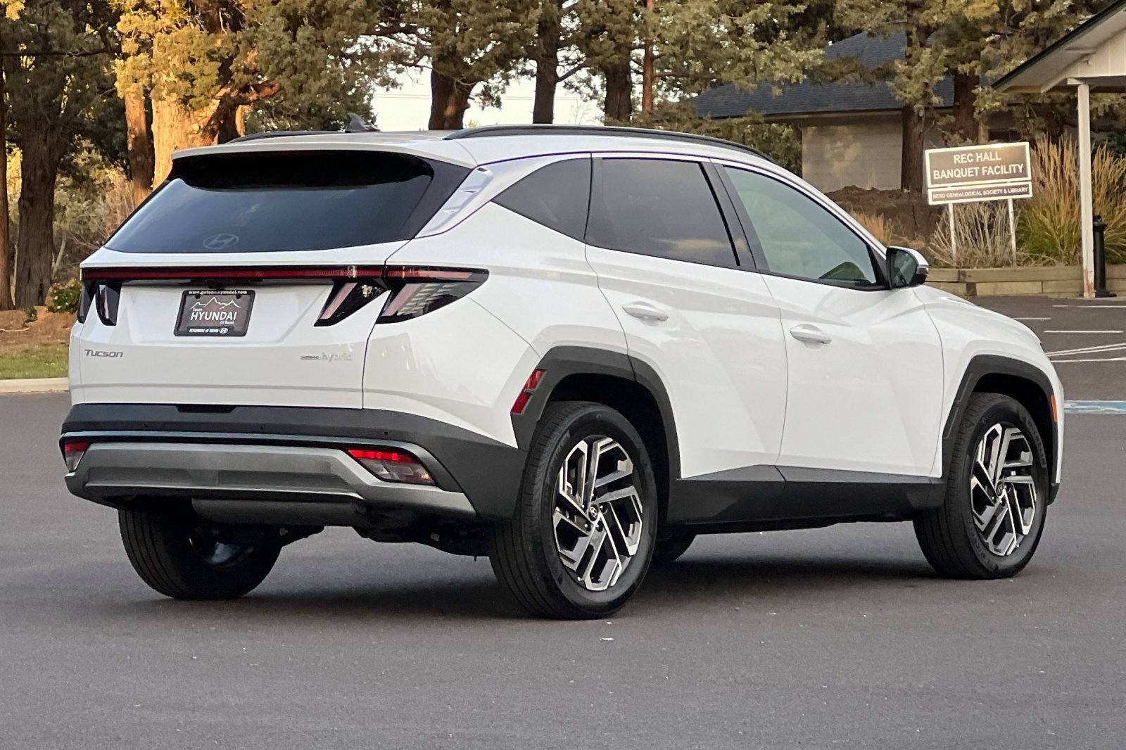 Certified 2025 Hyundai Tucson Limited image 4