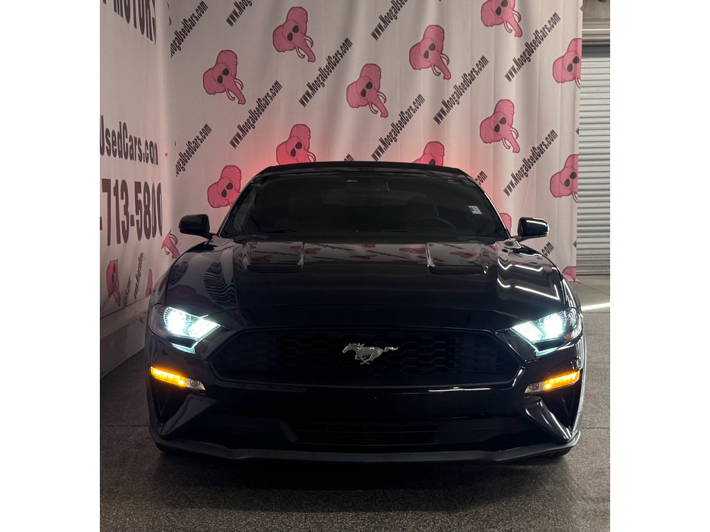 Used 2018 Ford Mustang Premium w/ Equipment Group 201A RWD image 7
