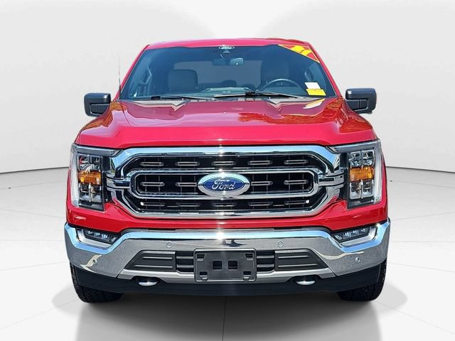 Used 2021 Ford F150 XLT w/ Equipment Group 302A High AWD/4WD image 8