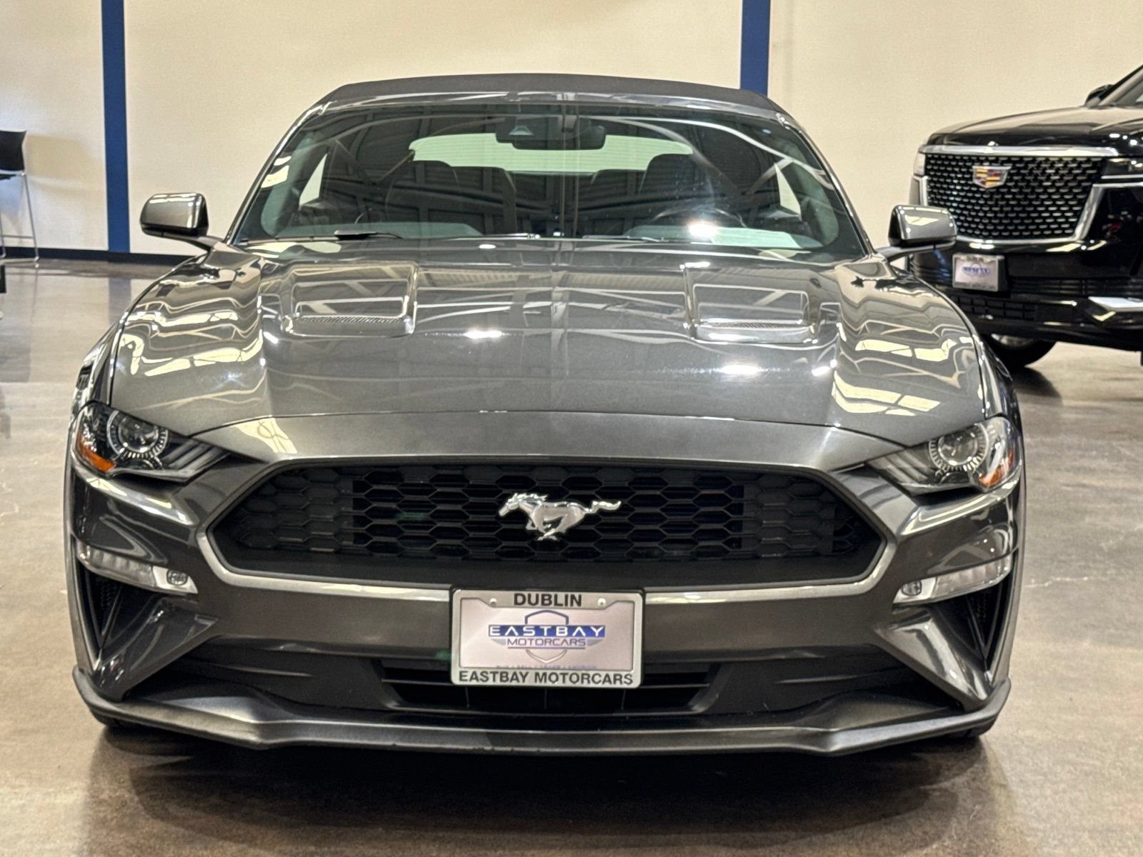 Used 2019 Ford Mustang Premium w/ Equipment Group 201A RWD image 6