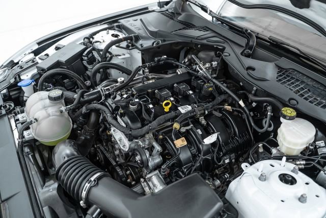 Used 2022 Ford Mustang Premium w/ Equipment Group 201A image 30