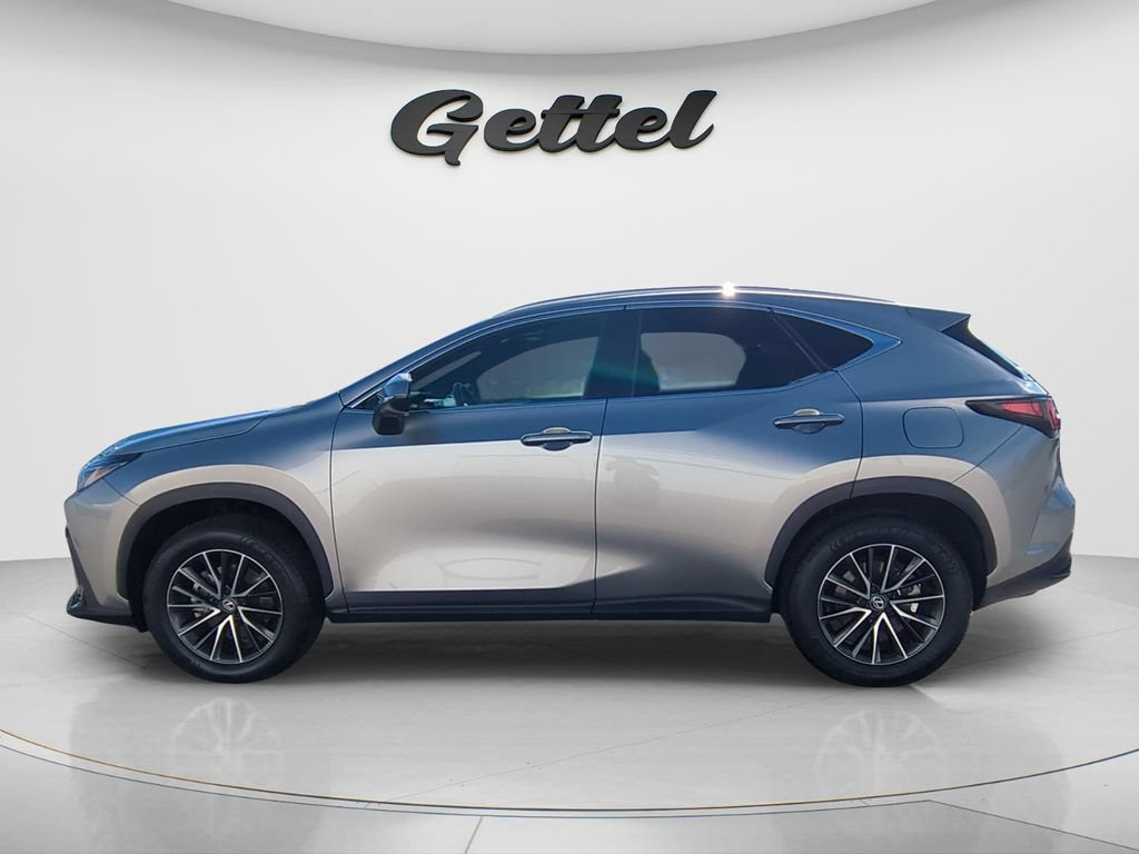 Used 2024 Lexus NX 250 FWD w/ Cold Area Package image 8