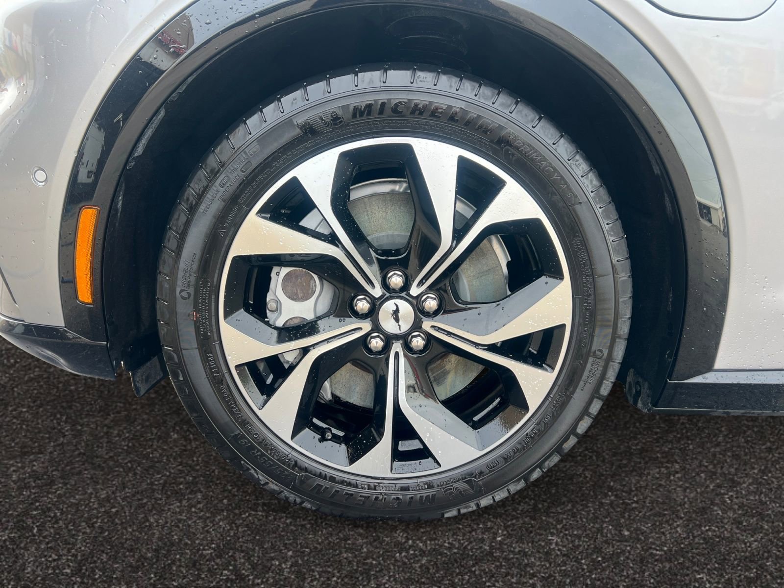 Used 2021 Ford Mustang Mach-E Premium image 14