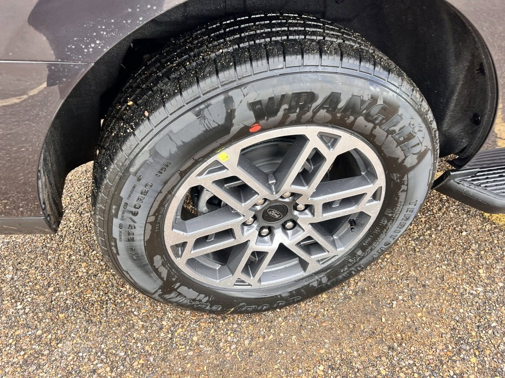 New 2025 Ford Expedition Active image 9