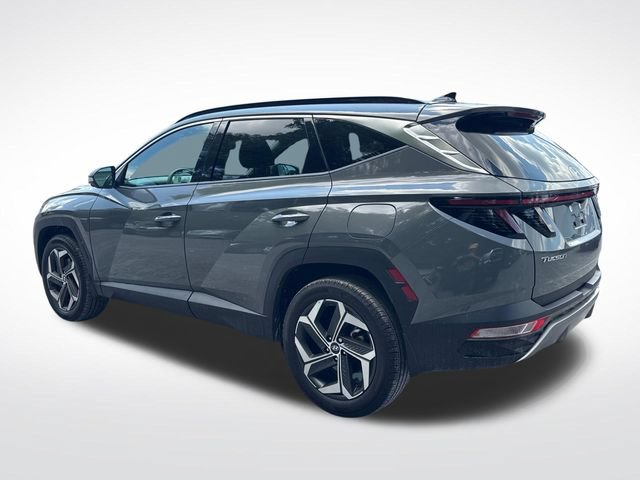 Used 2024 Hyundai Tucson Limited AWD/4WD image 3
