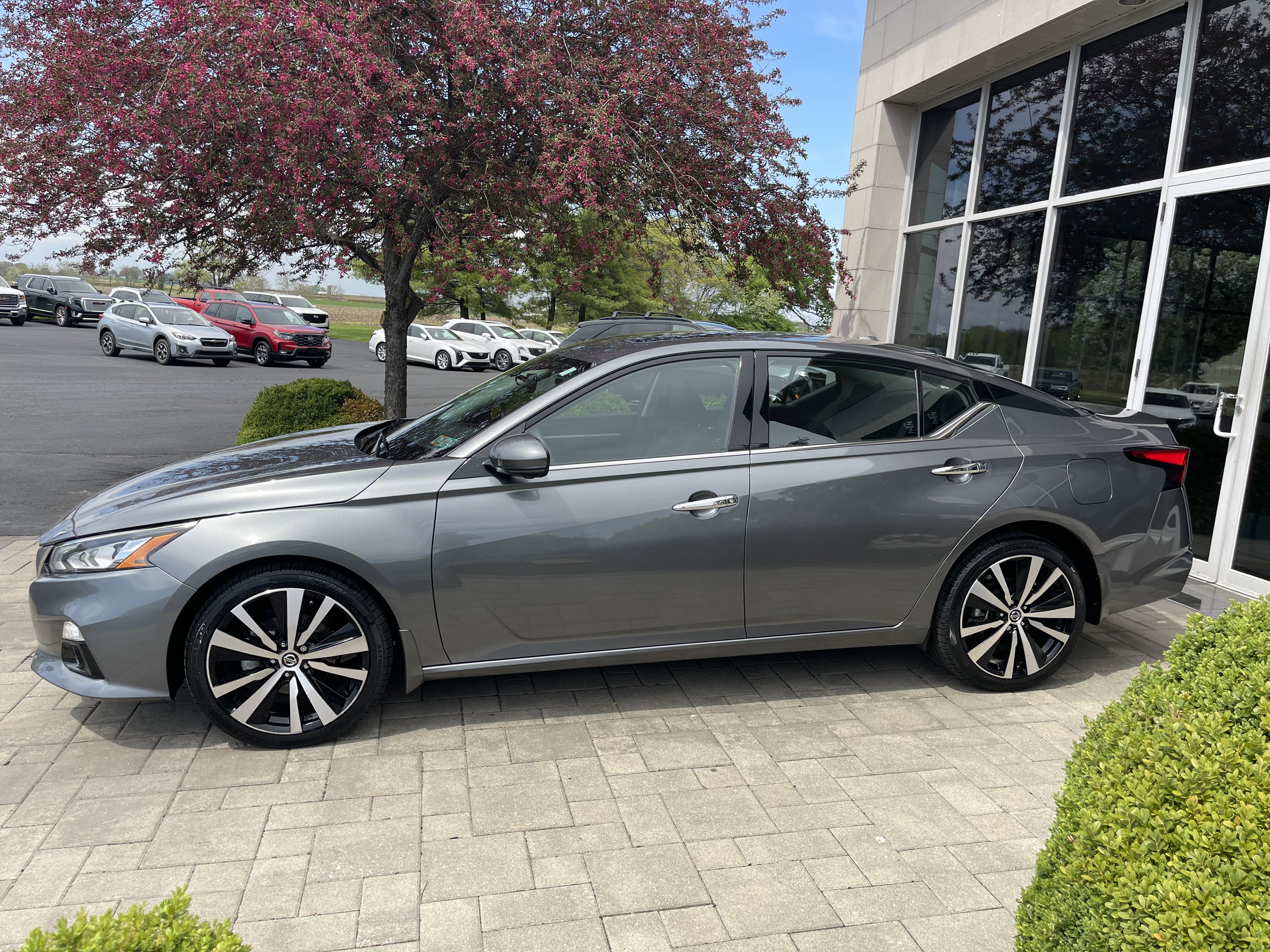 Used 2021 Nissan Altima 2.5 Platinum image 5