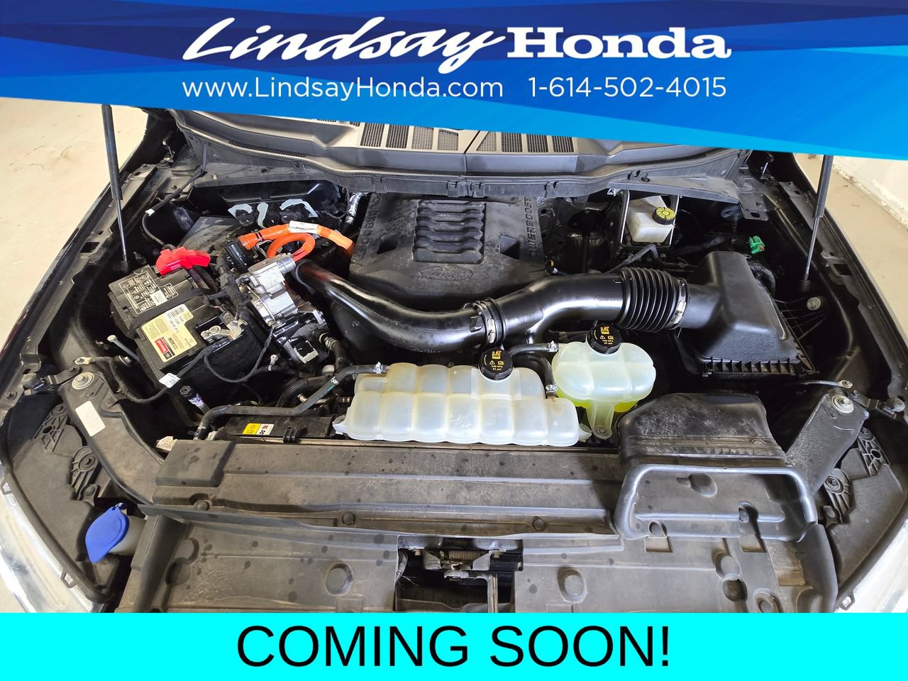 Used 2021 Ford F150 XLT w/ Equipment Group 302A High AWD/4WD image 27