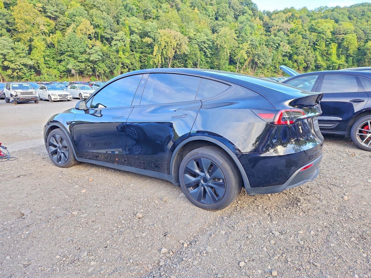 Used 2025 Tesla Model Y Long Range AWD/4WD image 4