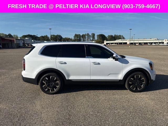 Used 2025 Kia Telluride SX image 8