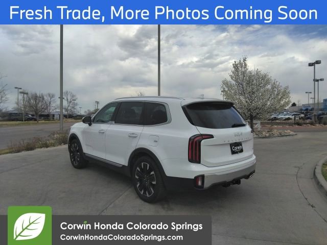 Used 2024 Kia Telluride SX Prestige w/ Towing Package image 5