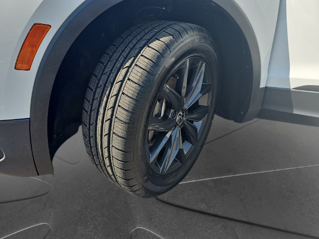 Used 2024 Volkswagen Tiguan SE FWD image 37
