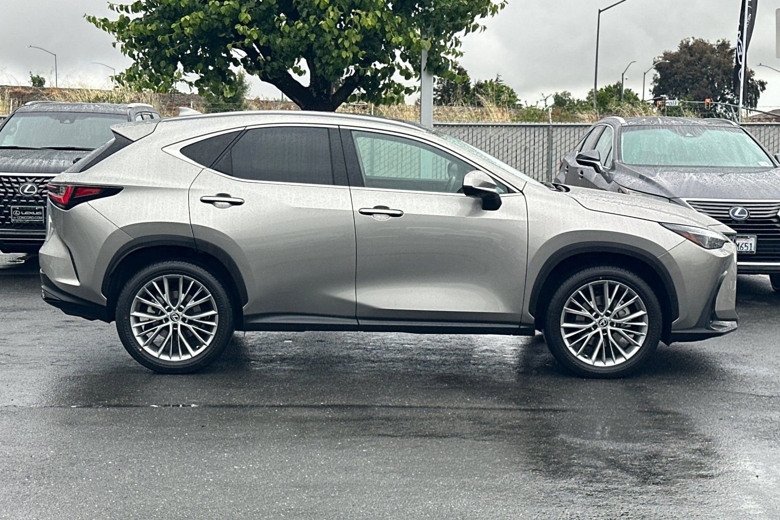 Certified 2024 Lexus NX 350 AWD w/ Vision Package image 3
