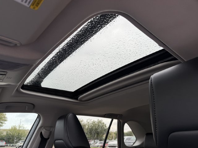 Certified 2020 Toyota RAV4 XLE Premium FWD image 23