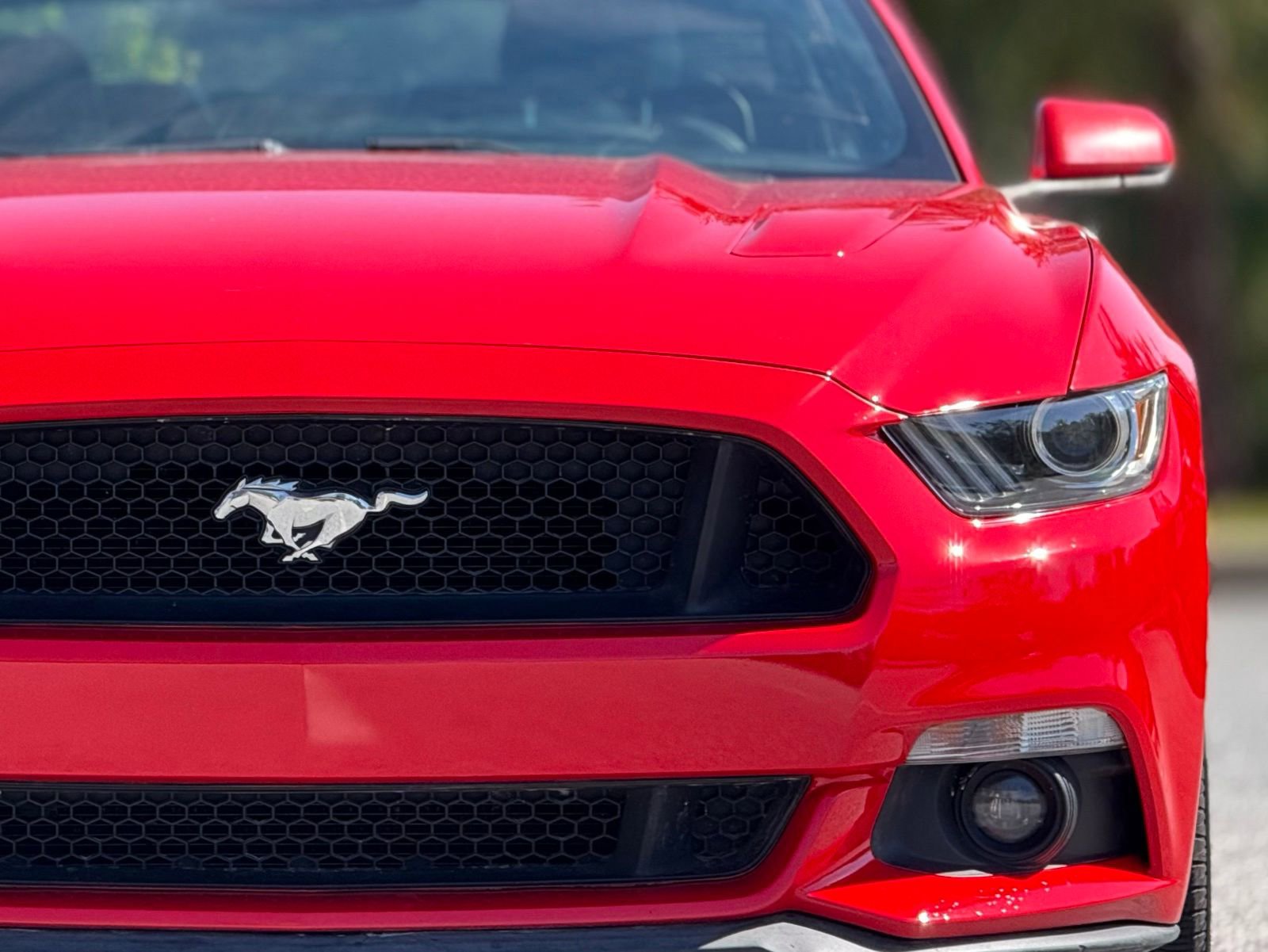 Used 2015 Ford Mustang GT Premium image 14