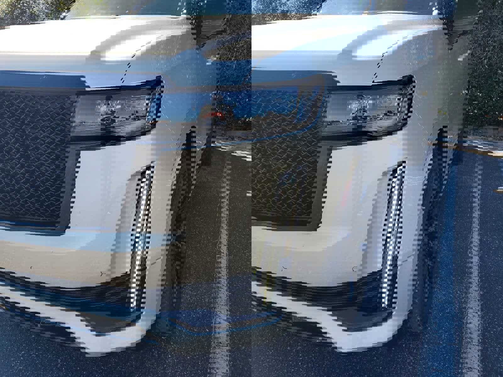 Certified 2024 Cadillac Escalade Sport Platinum w/ LPO, ONYX Package image 10