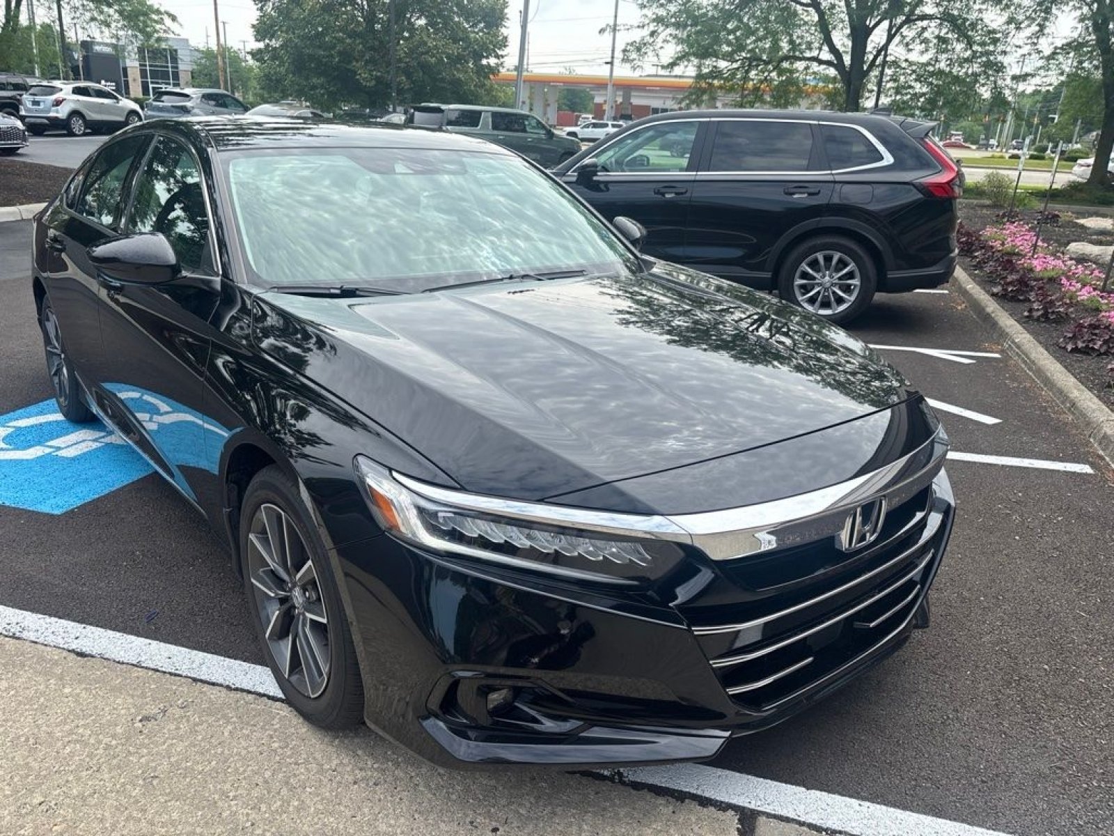 Used 2022 Honda Accord EX-L image 13