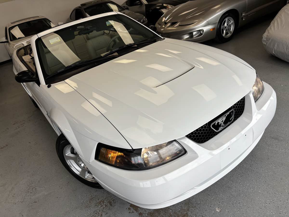 Used 2003 Ford Mustang Convertible RWD image 14
