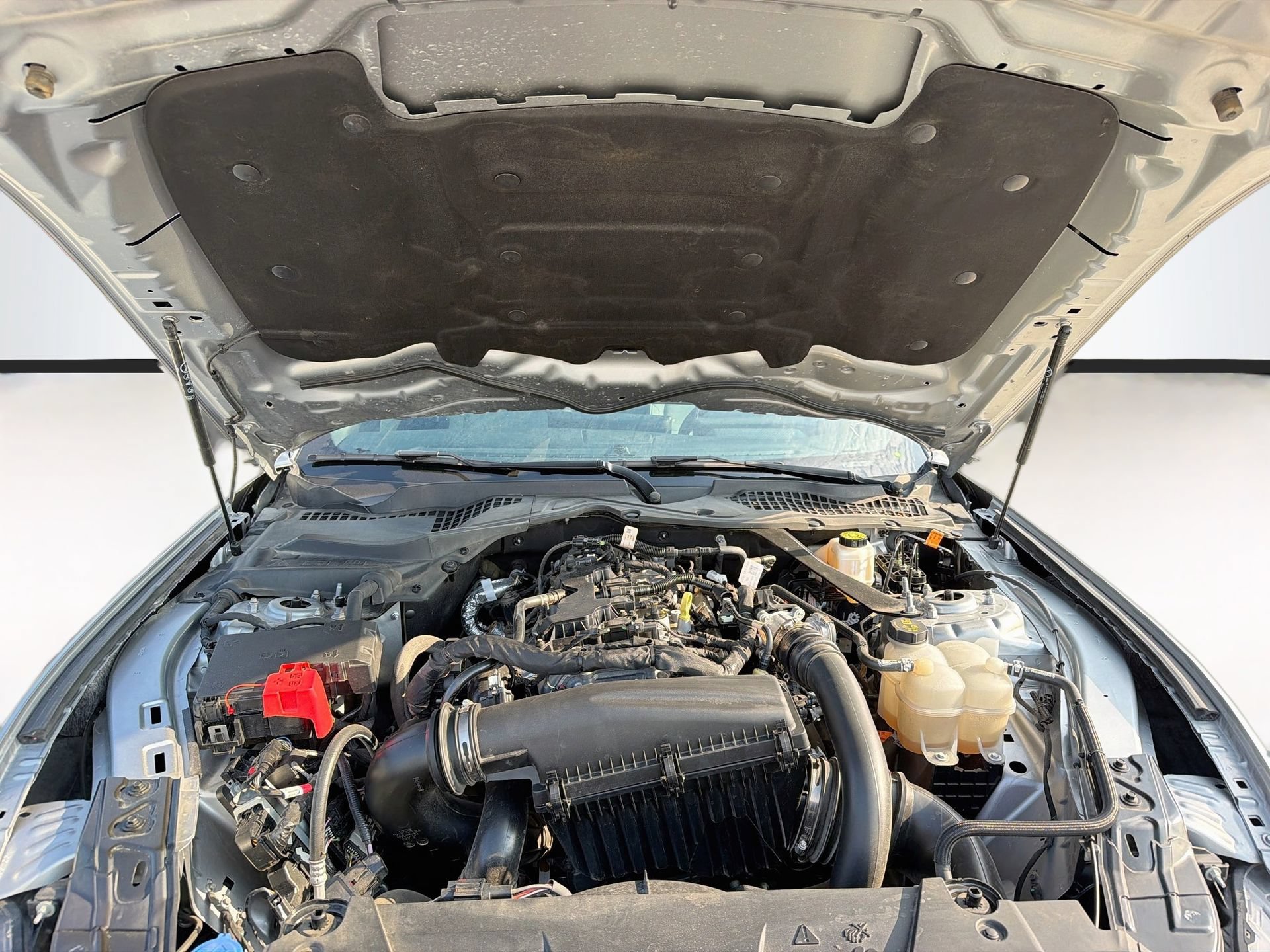 Used 2024 Ford Mustang Convertible RWD image 30