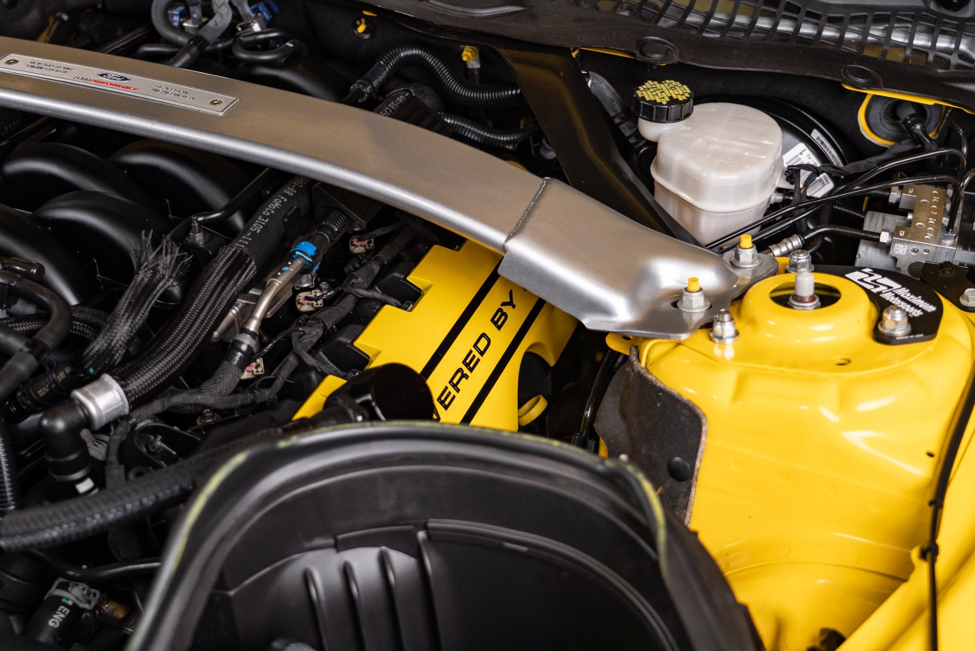 Used 2016 Ford Mustang Shelby GT350 w/ Track Package image 39