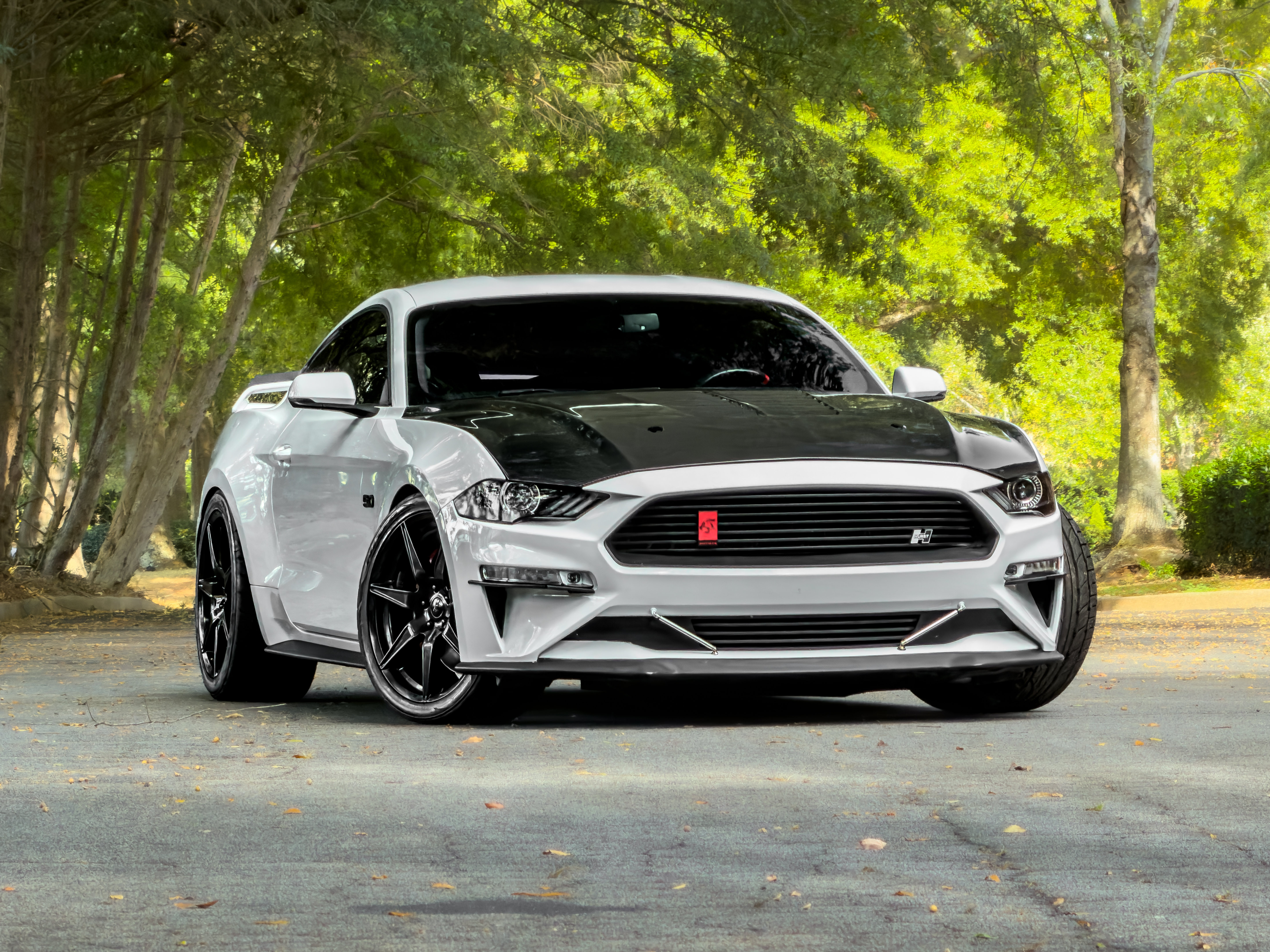 Used 2019 Ford Mustang GT Premium w/ GT Performance Package