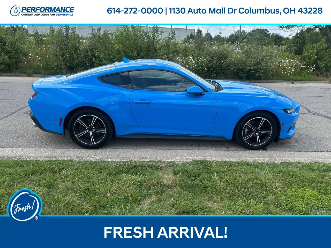 Used 2024 Ford Mustang Coupe RWD image 3