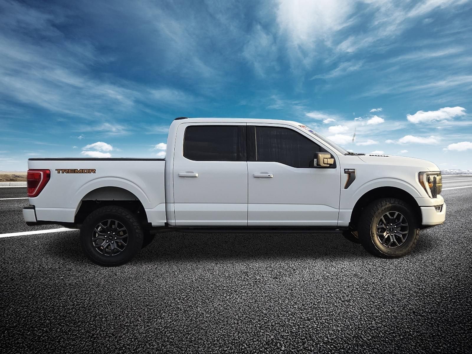 Used 2023 Ford F150 Tremor image 23