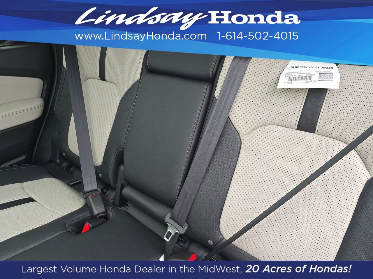 New 2026 Honda Passport TrailSport Elite image 4