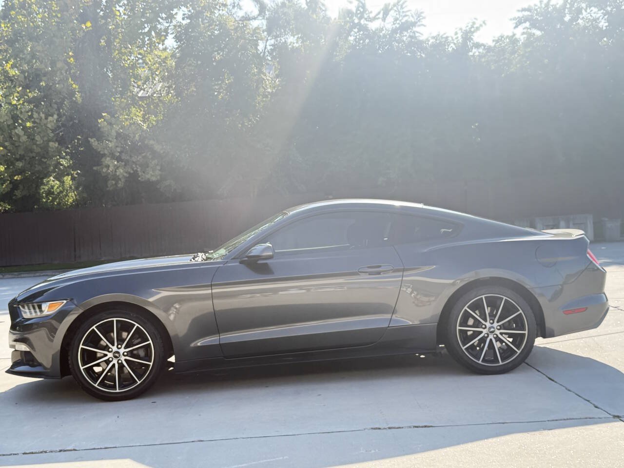 Used 2016 Ford Mustang Coupe w/ Interior & Wheel Package RWD image 22