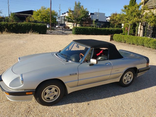 Used 1986 Alfa Romeo Spider Veloce image 22