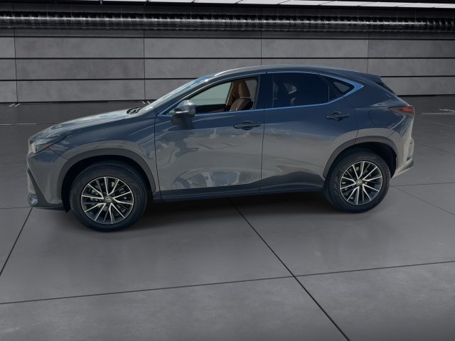 Certified 2024 Lexus NX 250 FWD w/ Cold Area Package image 5
