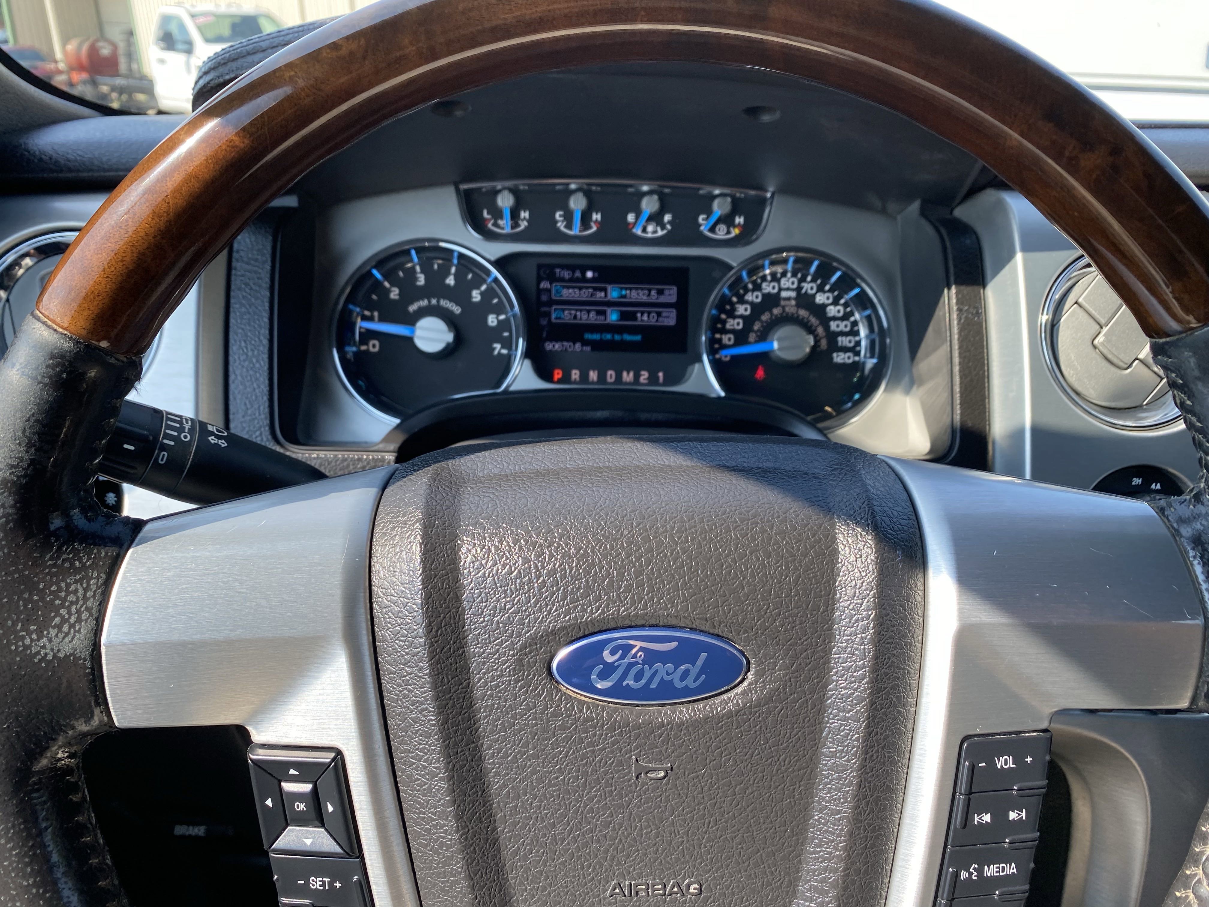 Used 2014 Ford F150 Platinum image 18